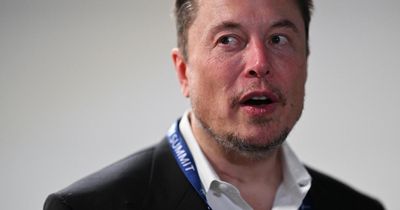Elon Musk accused of trying to ‘whip up division’ over Henry Nowak murder