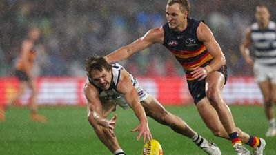 Crows hang tough to silence Cats in the wet