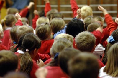 Primary school population down more than 10% since 2020 in some areas