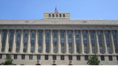 Bed Bugs Invade US Government's Own Insect Agency But Staff Are Still Forced to Work in Infested Offices