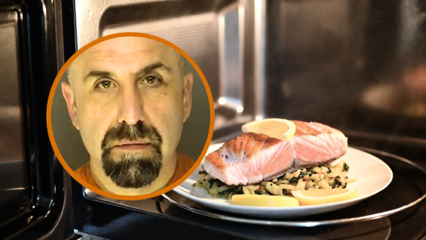 South Carolina cop arrested, fired after allegedly pulling gun on fellow officer for microwaving fish in office kitchen