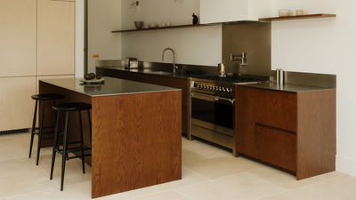 Do I Really Need a Steam Oven? Experts Decide Whether This Upgrade Is a Nice-to-Have Luxury or a Modern Kitchen Essential