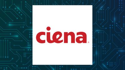Ciena Q2 Earnings Call Highlights