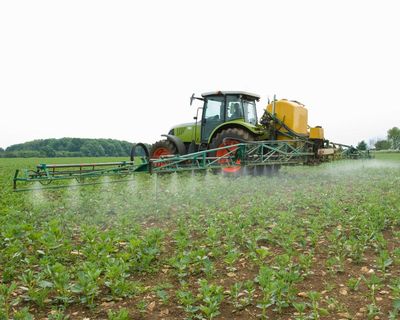 ‘This is not a hippy thing’: the startup recycling urine to make natural fertiliser