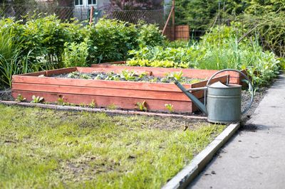 How to Keep Your Garden Alive During Vacation Season