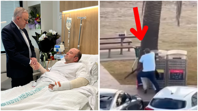 Bondi attack hero Ahmed al-Ahmed charged with assaulting father: Report