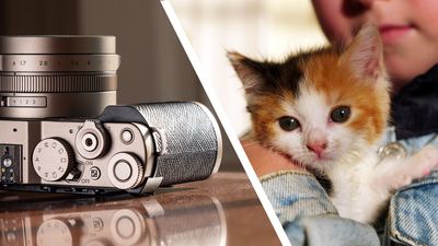 I took over 1,000 photos and videos with the gorgeous Panasonic Lumix L10 — these are my favorites, and they really show off what the premium compact can do (and yes, there are cute kittens)