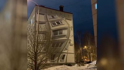 This reality-bending optical illusion will make you question everything