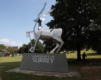 Former student arrested after man shot with crossbow at University of Surrey