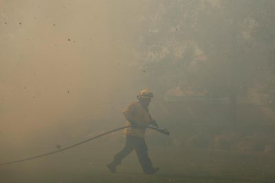 Wildfire smoke has reversed US progress toward ozone air quality, study finds