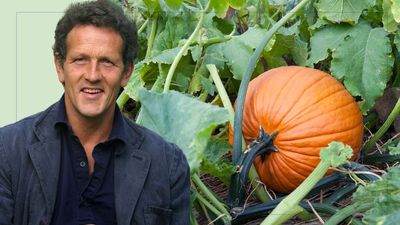 Want to grow your own pumpkins for Halloween this year? Monty Don says you need to start now