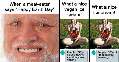 75 Hilarious Vegan Memes That May Change The Way You Look At Meat