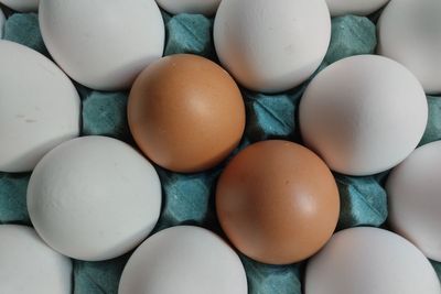 Sainsbury's Ditches Brown Eggs in Net Zero Push as 'Research' Challenges Long-Held Shopper Beliefs