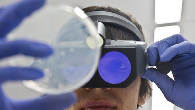 Probiotic firm hopes for great things from new strain
