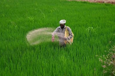 West Asia crisis: Why India needs a fertiliser security strategy