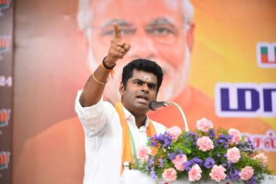 K Annamalai quits BJP as party accepts resignation