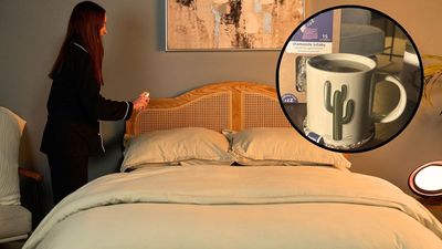 4 things an insomnia expert does before bed to fall asleep fast and sleep through the night