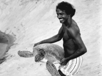 How an IIT grad became 'Turtle Walker': Walked 4000 km of India's coastline to map sea turtle nesting sites without even a GPS