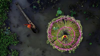 World Environment Day: Why we need local Indian languages to navigate climate change