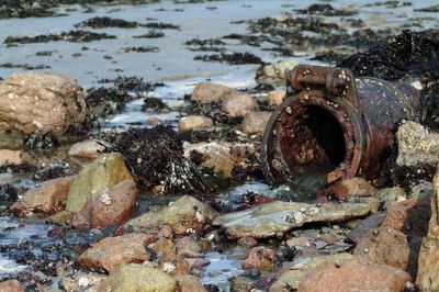 Welsh Water to pay out £44.7m over sewage spills after ‘serious’ failures