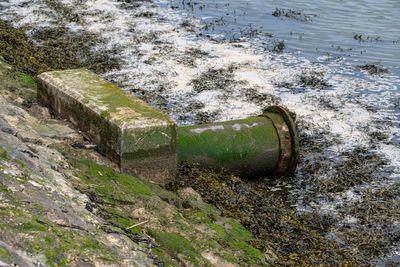 Welsh Water to pay £44 million for ‘serious’ sewage spill failures