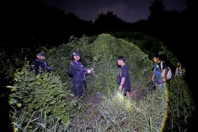 Thai victims of ‘fake girlfriend’ scam held captive in Cambodia by Chinese group