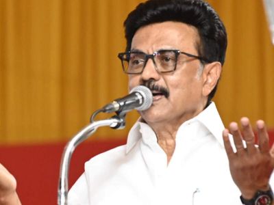 'DMK has underground alliance with BJP': TVK's Vigneshwaran on Stalin's party boycotting INDIA Bloc meet