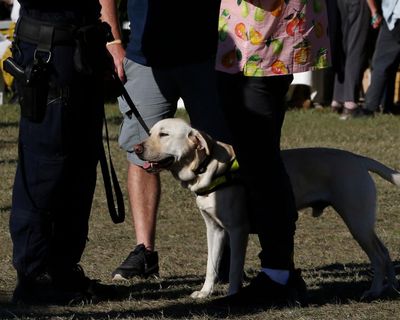 Woman illegally strip-searched by NSW police ‘reasonably thought’ officers would call her a liar, judge says