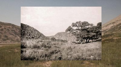 ‘They are disturbing the dead’: reconstructing the site of the forgotten first genocide of the 20th century