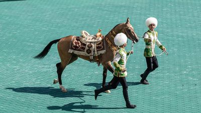 Turkmenistan's 'heavenly' Akhal-Teke horses celebrated in annual beauty pageants