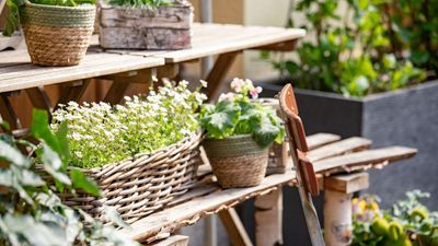 ALDI's New Rattan Planters Tap Into an Enduringly Popular Garden Style – They're Timeless, Durable and Effortlessly Chic