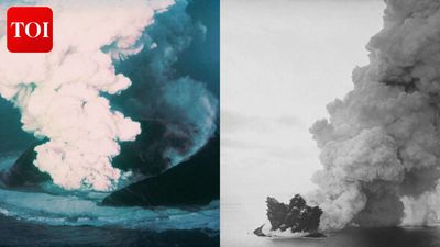 From lava to life: How a volcanic island ‘Surtsey’ born in 1963 became nature's ultimate experiment