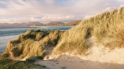 ‘None of us could have predicted this’: Scottish island closes on Sundays after visitor surge