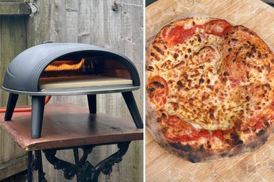 13 best pizza ovens for indoor and outdoor cooking