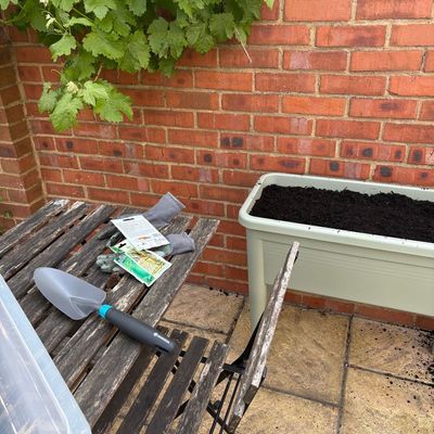 This compact grow table is the perfect way to start a vegetable patch in a small garden – my crops are thriving!