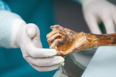 Scientists make sourdough bread using yeast found in 5,000-year-old mummy