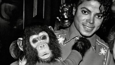 Sanctuary Housing Michael Jackson’s Chimp Bubbles Sets the Record Straight by Calling Out the Lies Being Peddled to Fans
