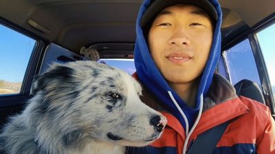 Beloved Border Collie with 1.5m followers allegedly stolen, sold to restaurant, and eaten