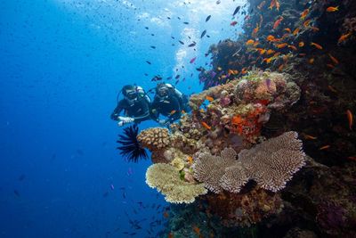 Be an ambassador for the ocean – why the Great Barrier Reef’s future depends on responsible tourists