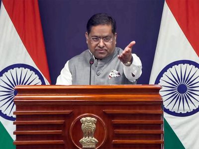 '1,076 Indians deported from US in 2026': MEA