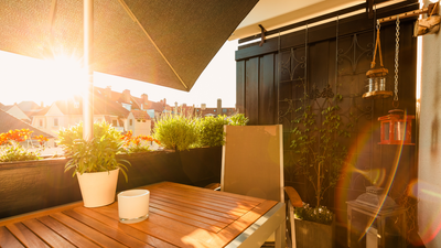 How to Cool Plants in the Summer Heat – Expert Ways to Reduce Stress on Your Shrubs and Flowers When Your Balcony Heats Up