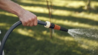 Gardeners are being urged to start collecting rainwater this weekend – here's why