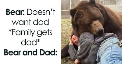 83 Random Memes To Crack You Up