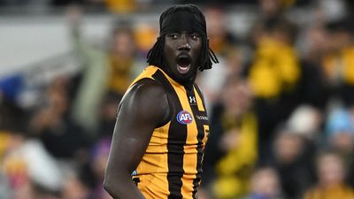 'Vile and appalling': Hawks call out racist abuse