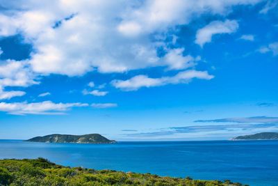 Man dies after shark attack off Western Australia coast near Albany
