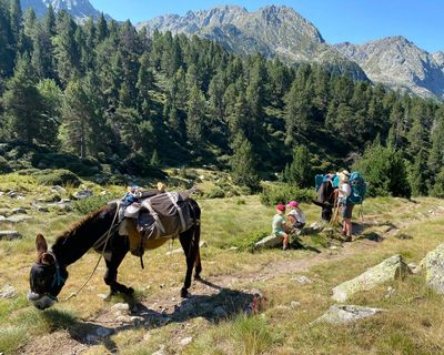 A family holiday on the hoof: donkey trekking in the Spanish Pyrenees