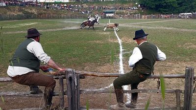 Lazio Maremma cowboys: tradition and innovation at Canale Monterano's Riarto