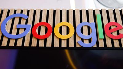 Fighting Bugs With Bugs: Google's Plan To Reduce Mosquitoes in California and Florida