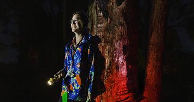 The eerily beautiful glowing mushrooms only seen a few nights a year