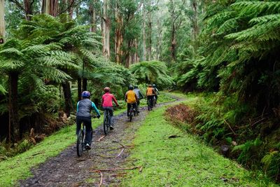 The best new cycling and ebike trails in Melbourne and surrounds
